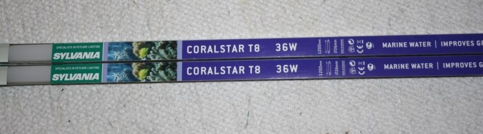 CoralStar 36W.JPG
